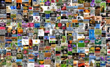 【2025年版】商用利用OK！無料・フリー素材・写真サイト10選